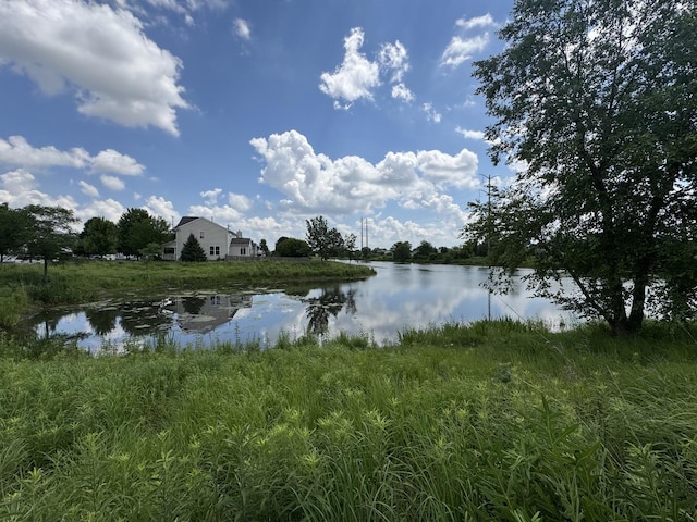 2942 Heather Ln, Montgomery, IL 60538 - water view