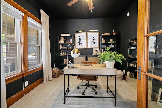 443 W Water St, Kankakee, IL 60901 - office space with carpet flooring, healthy amount of natural light, and a ceiling fan