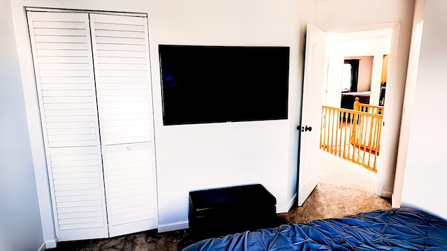 3113 Meadowsedge Ln, Joliet, IL 60436 - carpeted bedroom featuring a closet