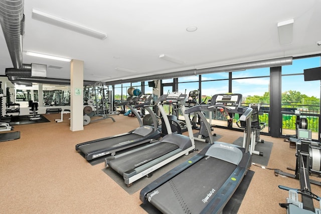 1151 W 15th St Unit 336, Chicago, IL 60608 - workout area featuring floor to ceiling windows, carpet flooring, and healthy amount of natural light