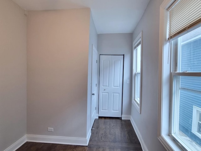 hallway featuring dark wood-style floors