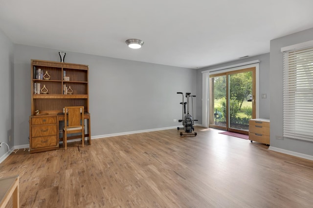 235 Parktrail Ct, Schaumburg, IL 60173 - exercise room with light wood-style floors and baseboards