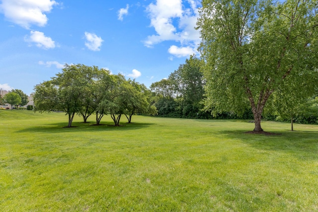 235 Parktrail Ct, Schaumburg, IL 60173 - view of grassy yard