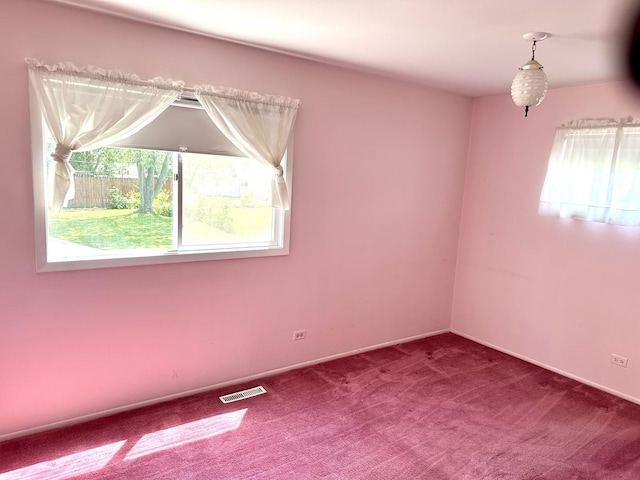 36429 N Edgewood Dr, Gurnee, IL 60031 - unfurnished room with healthy amount of natural light and carpet