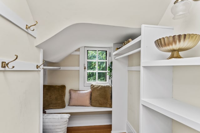 2423 Harrison St, Evanston, IL 60201 - walk in closet featuring vaulted ceiling and wood finished floors