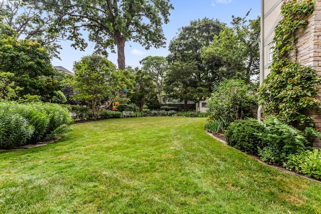 2423 Harrison St, Evanston, IL 60201 - view of green lawn