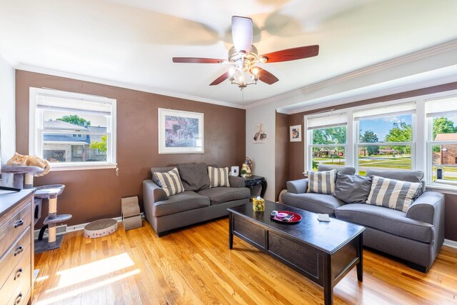 4941 W 119th St, Alsip, IL 60803 - living room featuring a ceiling fan, light wood-type flooring, and crown molding