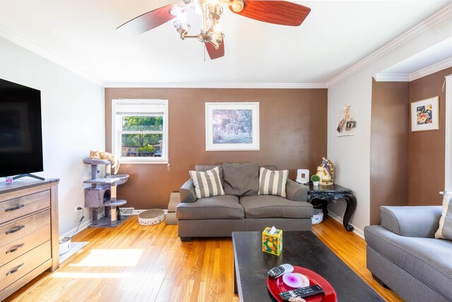 4941 W 119th St, Alsip, IL 60803 - living area with ceiling fan, light wood finished floors, and crown molding