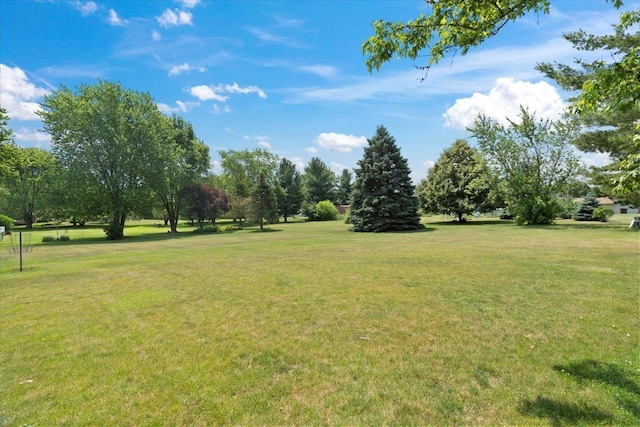 344 Prairie Ave, Winthrop Harbor, IL 60096 - view of grassy yard