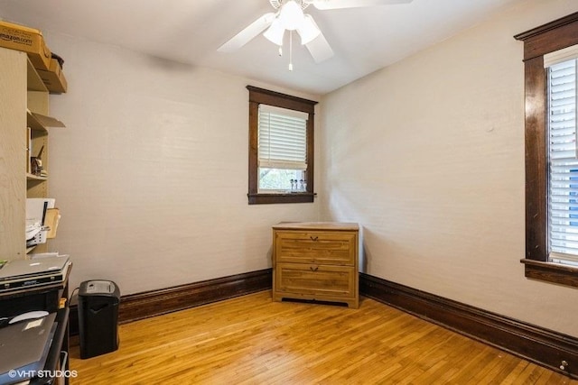 11610 2nd St, Huntley, IL 60142 - office area featuring light wood-type flooring and ceiling fan