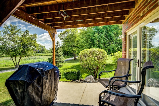 18011 Breckenridge Blvd, Orland Park, IL 60467 - view of patio / terrace with area for grilling and view of scattered trees