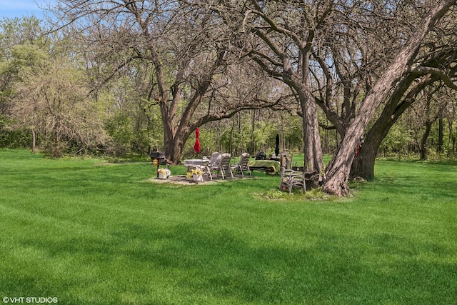 940 Holbrook Rd Unit 34C, Homewood, IL 60430 - view of grassy yard