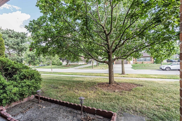120A Collen Dr Unit 105, Lombard, IL 60148 - view of grassy yard