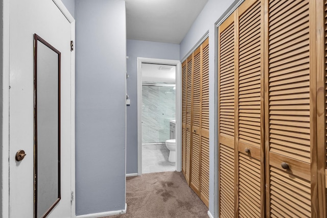 120A Collen Dr Unit 105, Lombard, IL 60148 - hallway with carpet floors