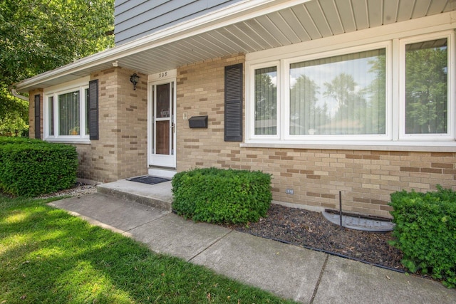 308 Long Ave, North Aurora, IL 60542 - view of exterior entry with brick siding