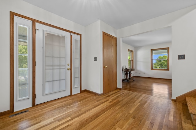 15893 Aime Ln, Wadsworth, IL 60083 - foyer featuring light wood-type flooring and baseboards