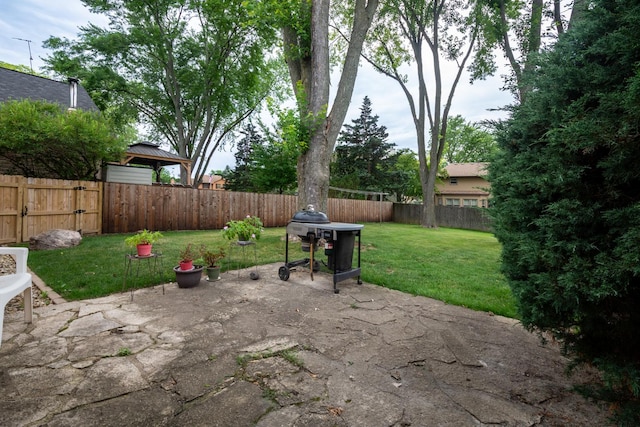 874 Hillandale Dr, Antioch, IL 60002 - fenced backyard with a gazebo and a patio