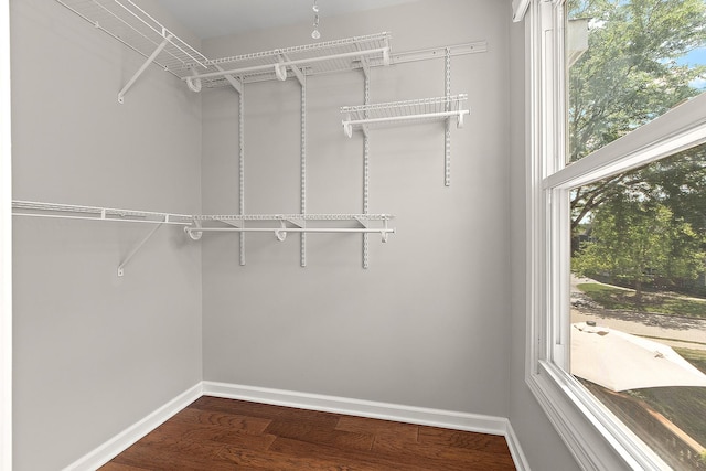 2725 Weeping Willow Dr Unit D, Lisle, IL 60532 - walk in closet with wood finished floors