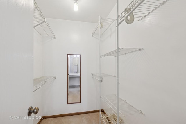 3087 Clifton Ct, Aurora, IL 60504 - view of walk in closet