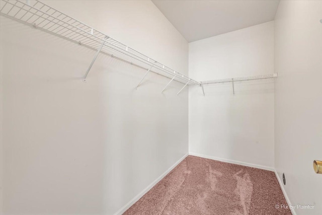 16 Christie Ct Unit 16, Algonquin, IL 60102 - walk in closet with carpet