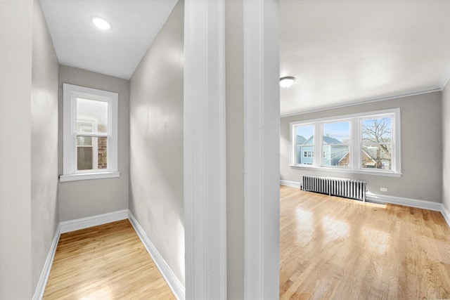 8707 S Manistee Ave, Chicago, IL 60617 - photo 6