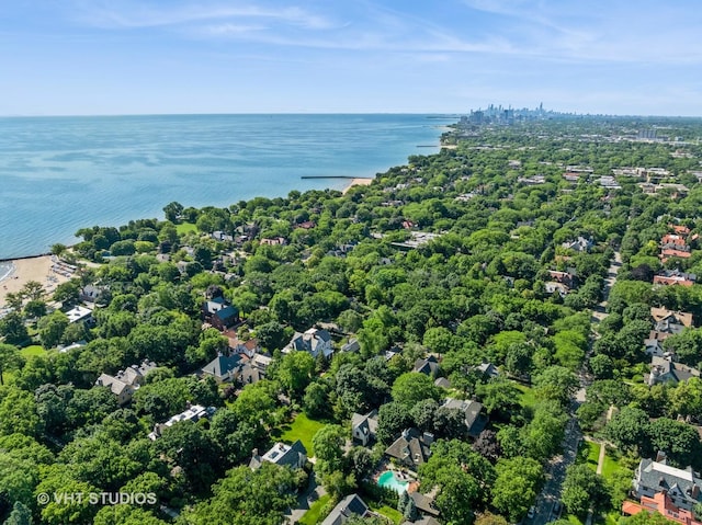 1319 Forest Ave, Evanston, IL 60201 - photo 59