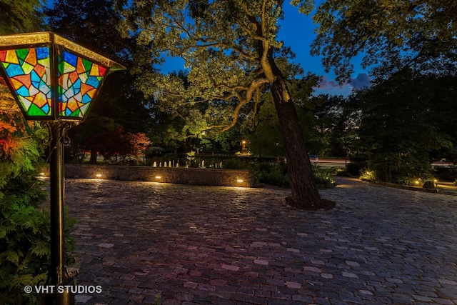 1319 Forest Ave, Evanston, IL 60201 - photo 7