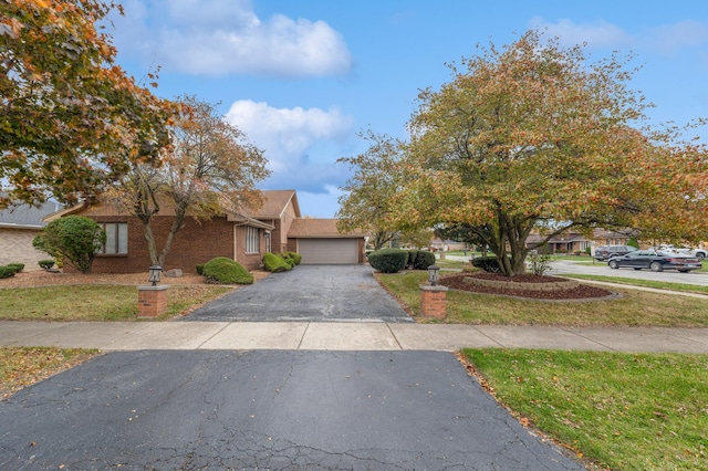 2210 207th Pl, Lynwood, IL 60411 - photo 24