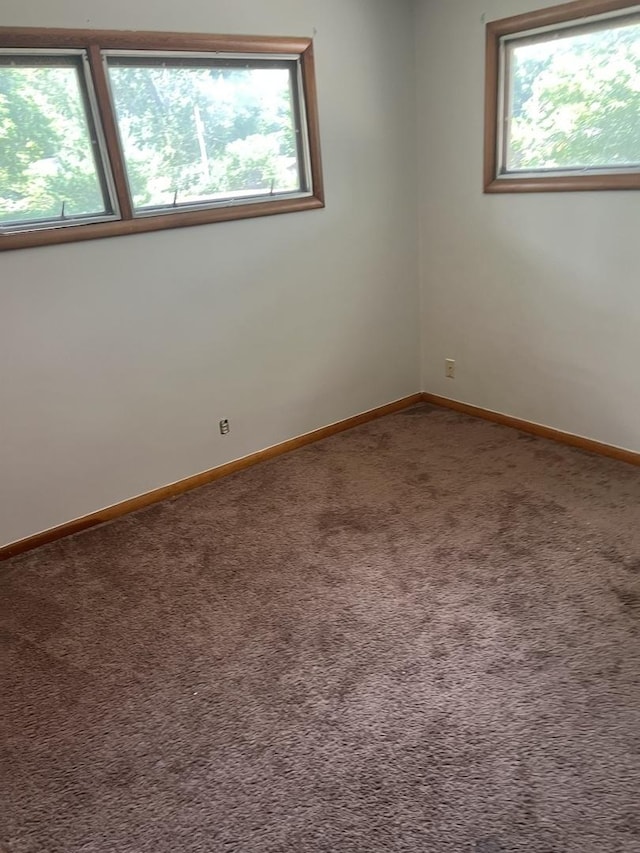 318 Fletcher Ave Unit 318, Danville, IL 61832 - photo 7