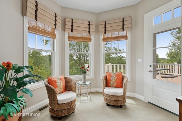 6531 W Cedar Ct, Monee, IL 60449 - living area with plenty of natural light and carpet