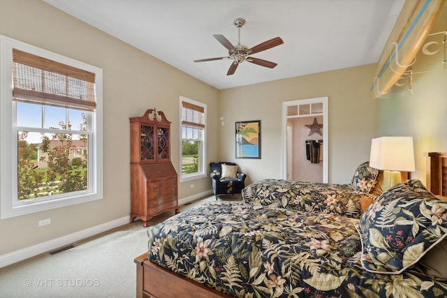 6531 W Cedar Ct, Monee, IL 60449 - bedroom with multiple windows, carpet floors, and a ceiling fan