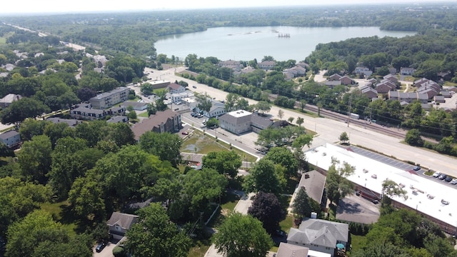 228 S Glendale Ave, Barrington, IL 60010 - bird's eye view of a large body of water and a heavily wooded area
