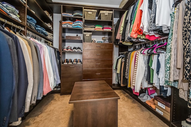 228 S Glendale Ave, Barrington, IL 60010 - spacious closet featuring carpet