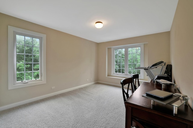 18013 Saint Andrews Dr, Marengo, IL 60152 - home office featuring baseboards and carpet flooring
