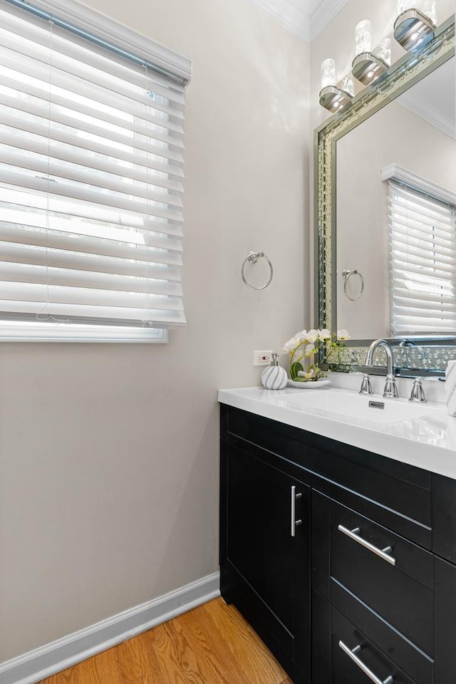 290 Knox Park Rd, Lake Zurich, IL 60047 - bathroom with ornamental molding, vanity, healthy amount of natural light, and wood finished floors