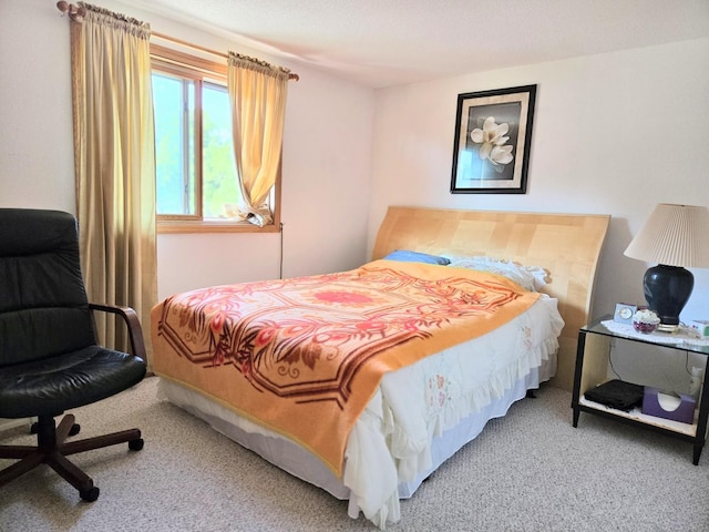 1928 Hidden Valley Dr, Lanark, IL 61046 - bedroom with carpet floors