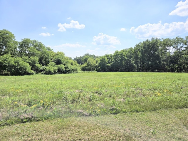 1928 Hidden Valley Dr, Lanark, IL 61046 - view of local wilderness with rural landscape
