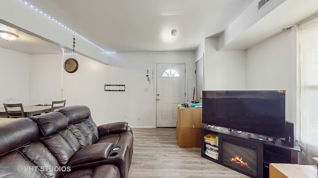 1320 N Glen Cir Unit B, Aurora, IL 60506 - living area featuring light wood finished floors and a glass covered fireplace