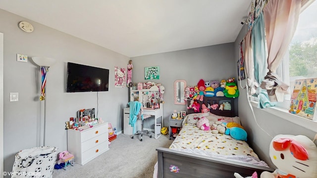 8824 Cherry Ave, River Grove, IL 60171 - bedroom with carpet floors