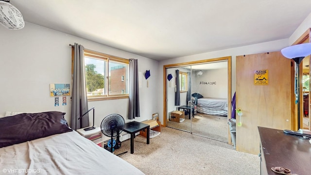 8824 Cherry Ave, River Grove, IL 60171 - carpeted bedroom featuring a closet