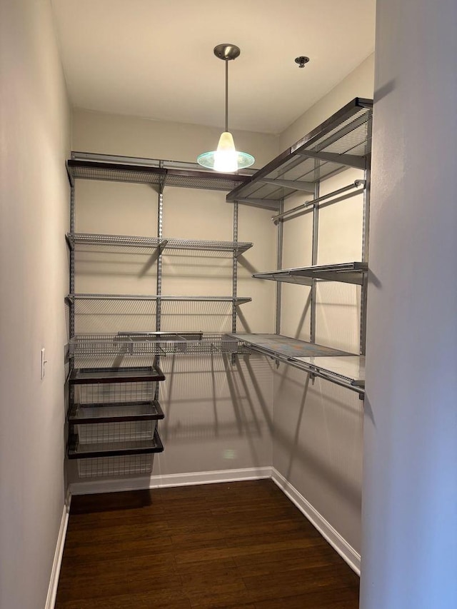 331 E 17th St, Chicago, IL 60616 - walk in closet with wood finished floors