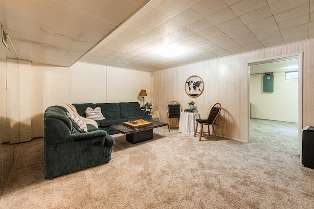 817 Meadow Ln, Sycamore, IL 60178 - living area with carpet flooring and electric panel
