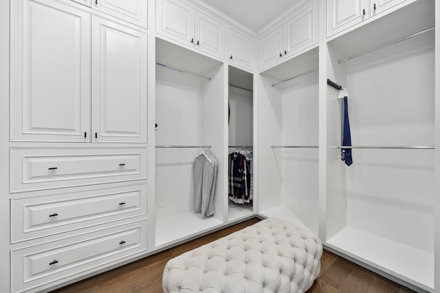 6403 S Garfield Ave, Burr Ridge, IL 60527 - walk in closet featuring dark wood-type flooring
