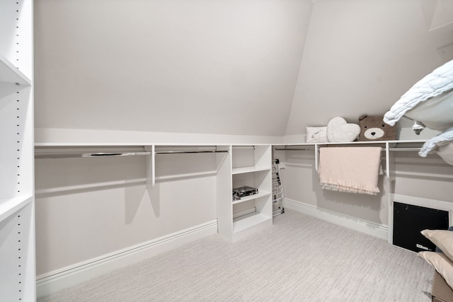 6403 S Garfield Ave, Burr Ridge, IL 60527 - walk in closet featuring carpet flooring