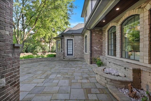 6403 S Garfield Ave, Burr Ridge, IL 60527 - view of patio