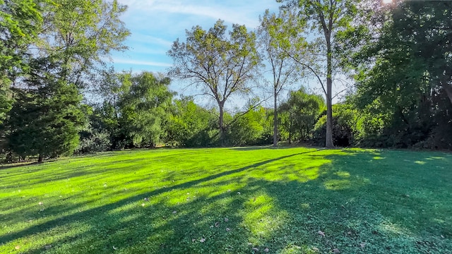 6403 S Garfield Ave, Burr Ridge, IL 60527 - view of grassy yard