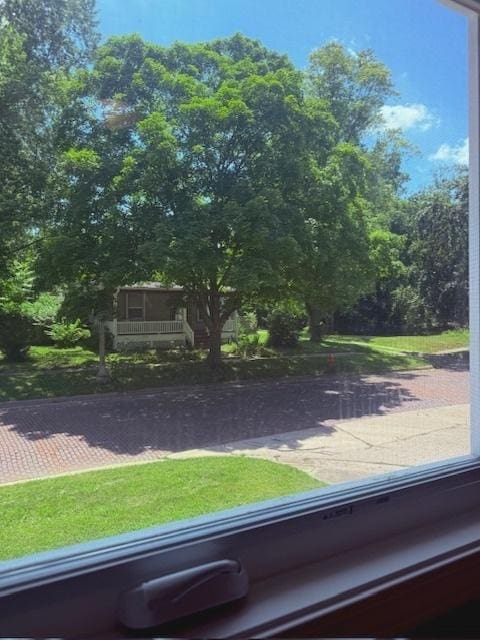 902 E Illinois St, Urbana, IL 61801 - photo 119