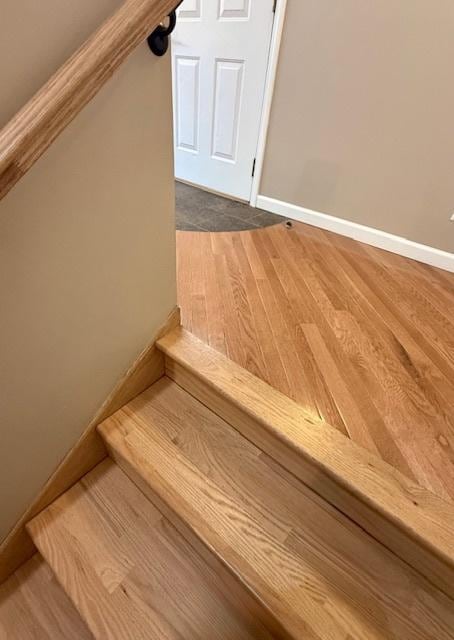 902 E Illinois St, Urbana, IL 61801 - photo 126