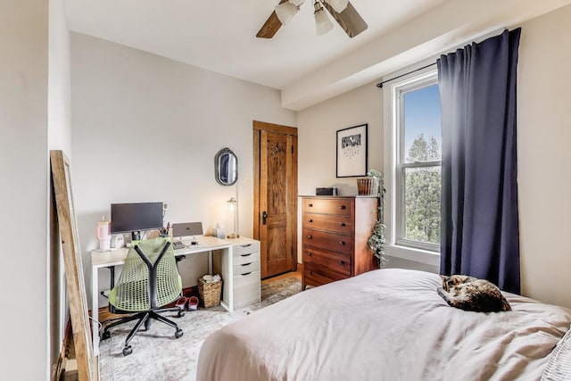 2333 N Spaulding Ave, Chicago, IL 60647 - bedroom with multiple windows and ceiling fan