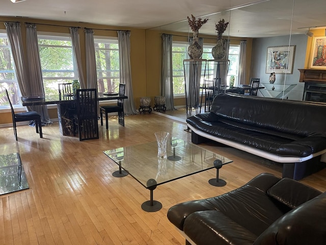 1027 W Vernon Park Pl Unit B, Chicago, IL 60607 - living room with hardwood / wood-style flooring